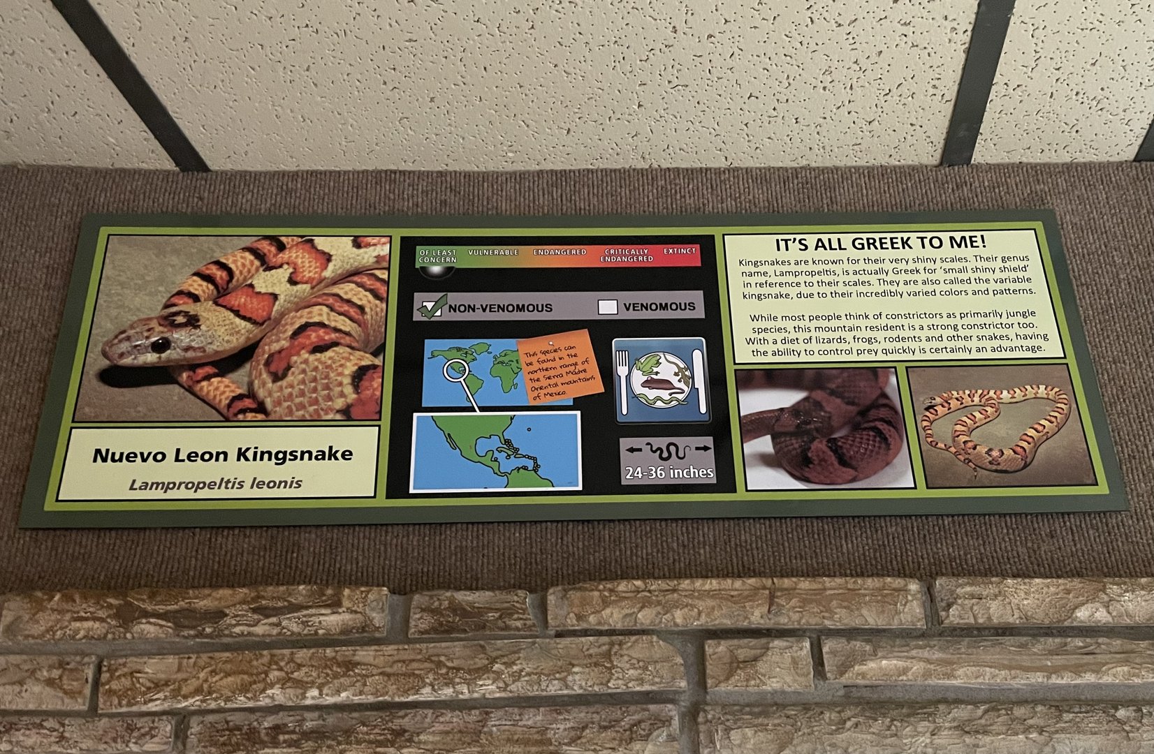 Nuevo León milksnake signage