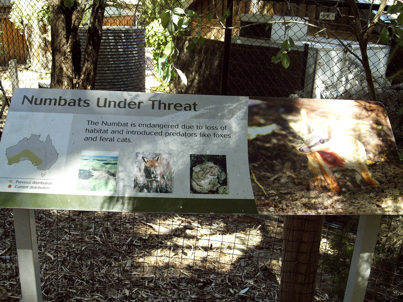Numbat signage