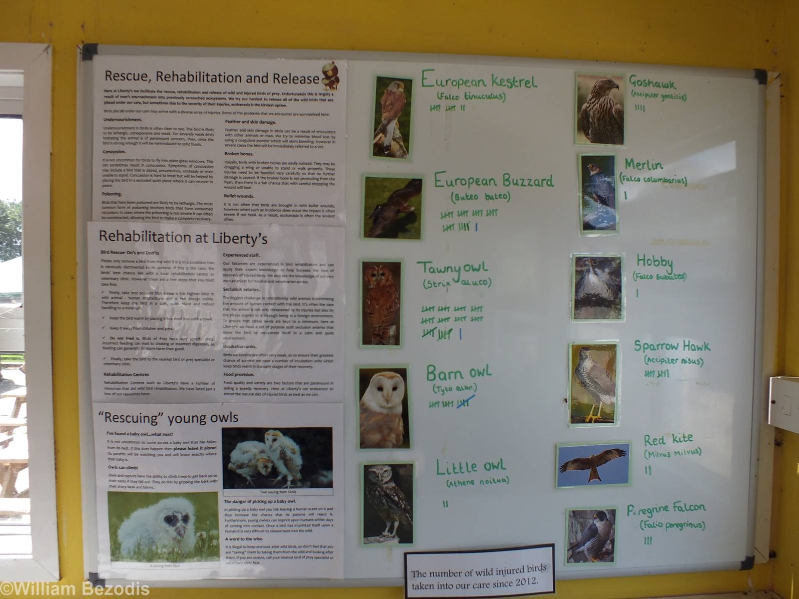 Number of Rehabilitated Birds of Prey Sign