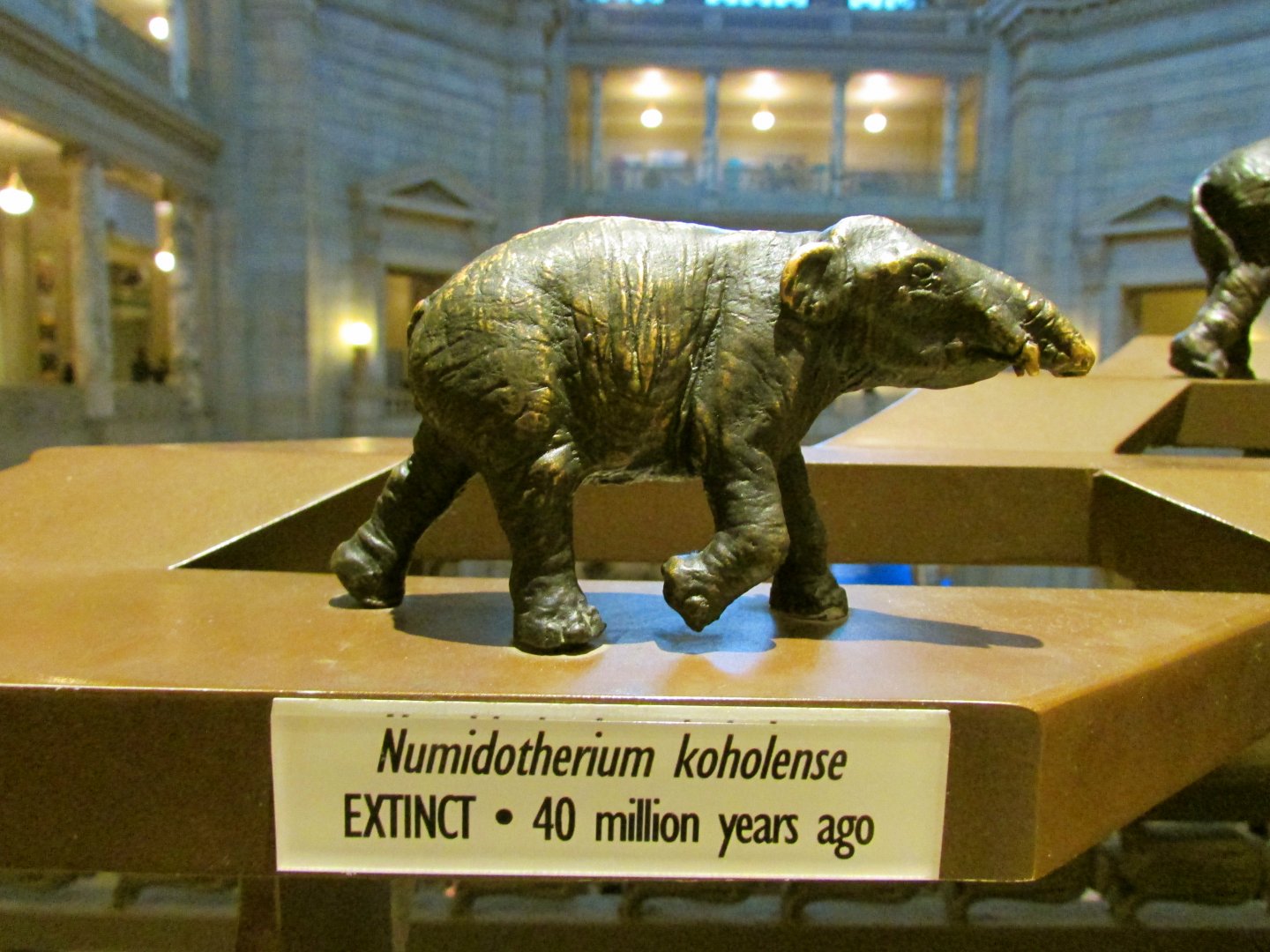 Numidotherium Bronze Sculpture