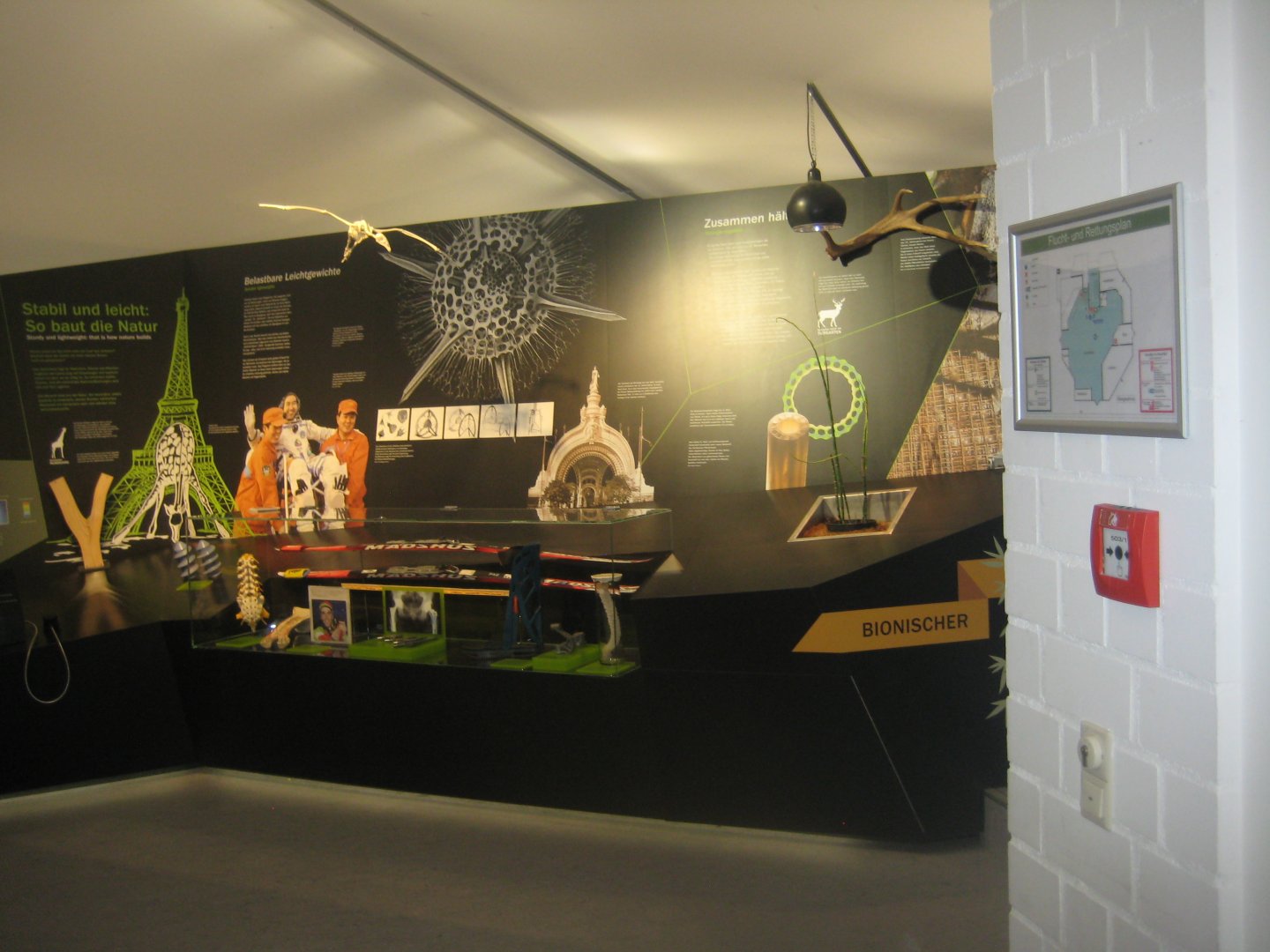 Nürnberg Tiergarten - Bionicum