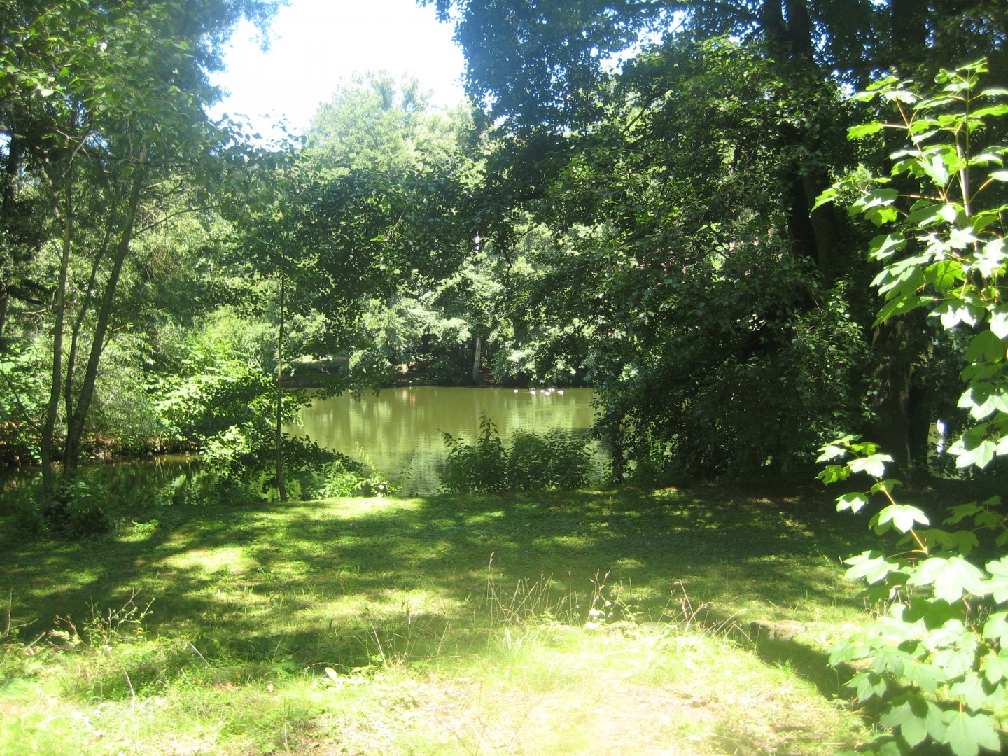 Nürnberg Tiergarten - Bird lake #2