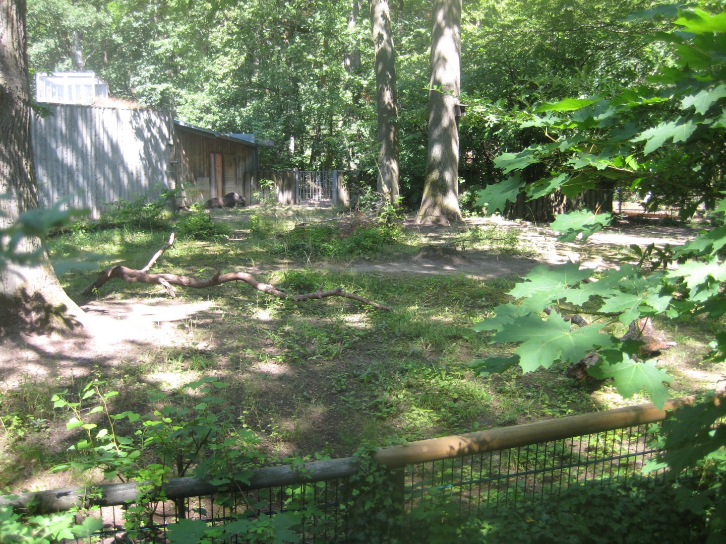 Nürnberg Tiergarten - Brazilian tapir exhibit