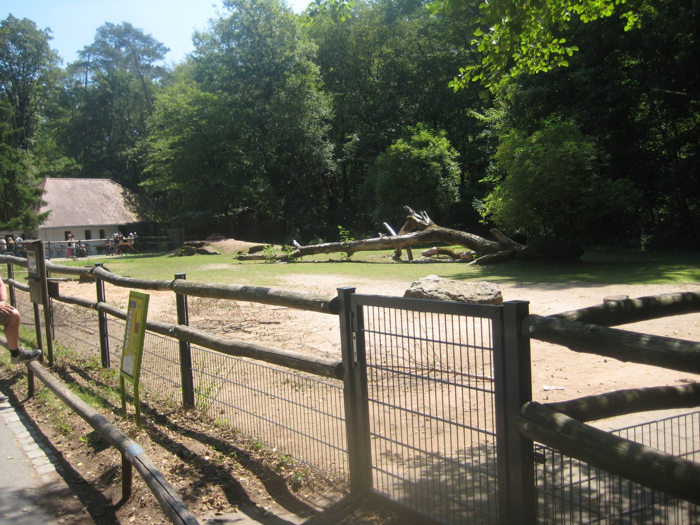 Nürnberg Tiergarten - Children's zoo - Alpaca exhibit