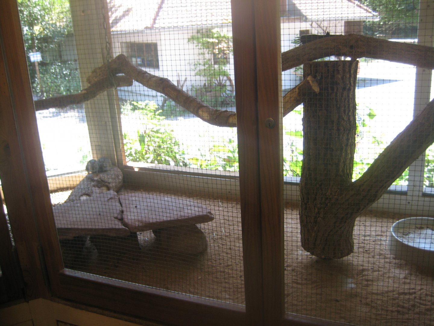 Nürnberg Tiergarten - Children's zoo - Degu exhibit