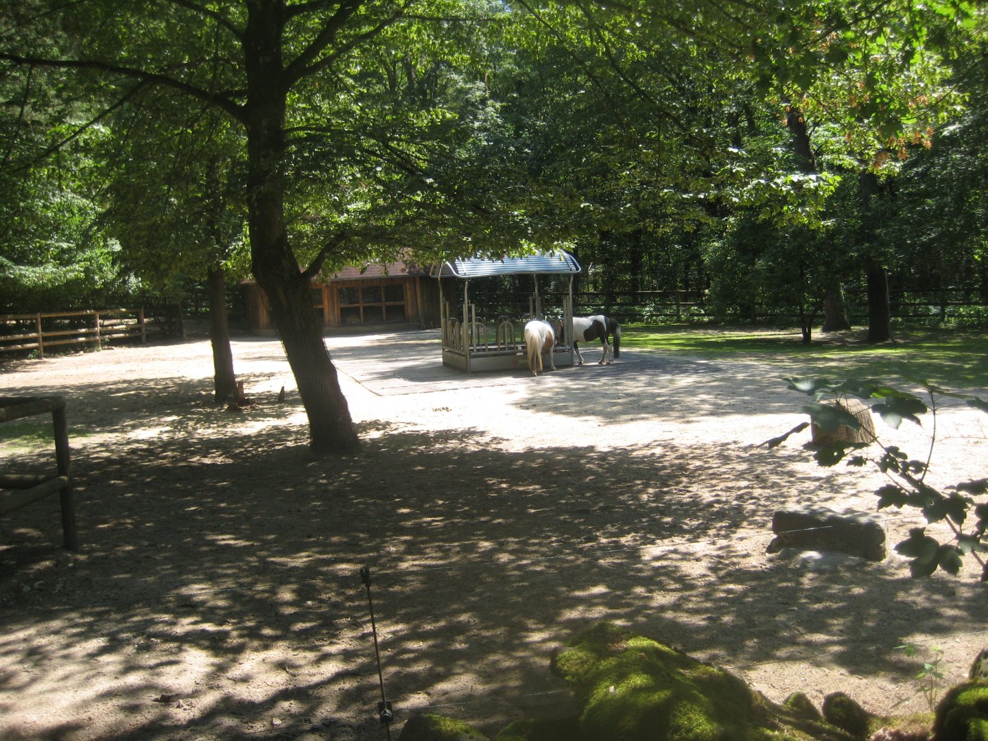 Nürnberg Tiergarten - Children's zoo - Horse exhibit