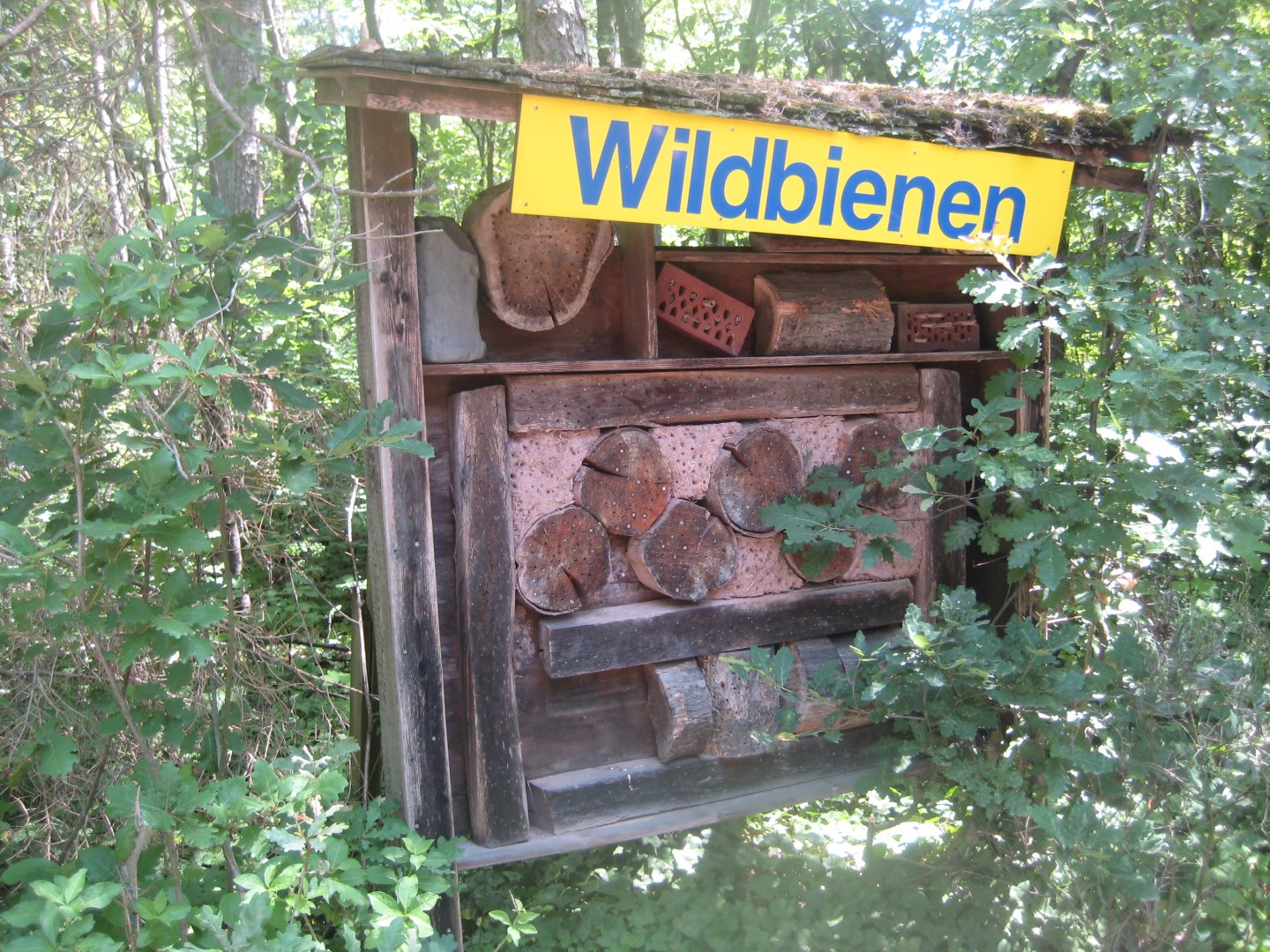 Nürnberg Tiergarten - Children's zoo - Insect hotel