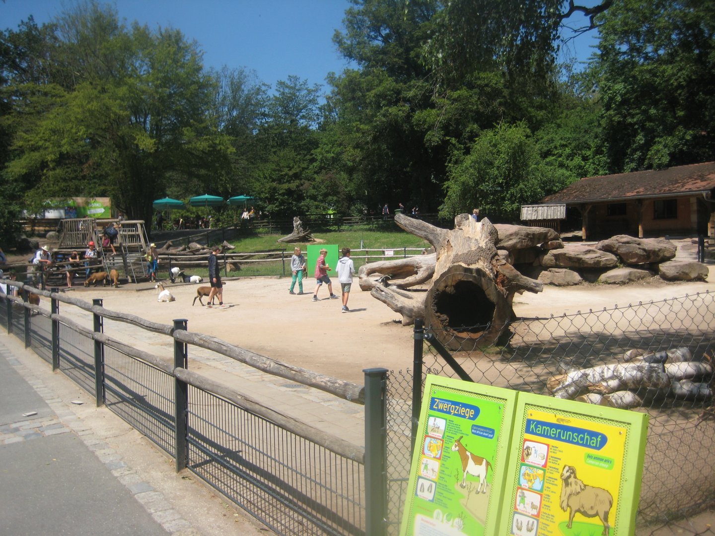 Nürnberg Tiergarten - Children's zoo - Petting exhibit