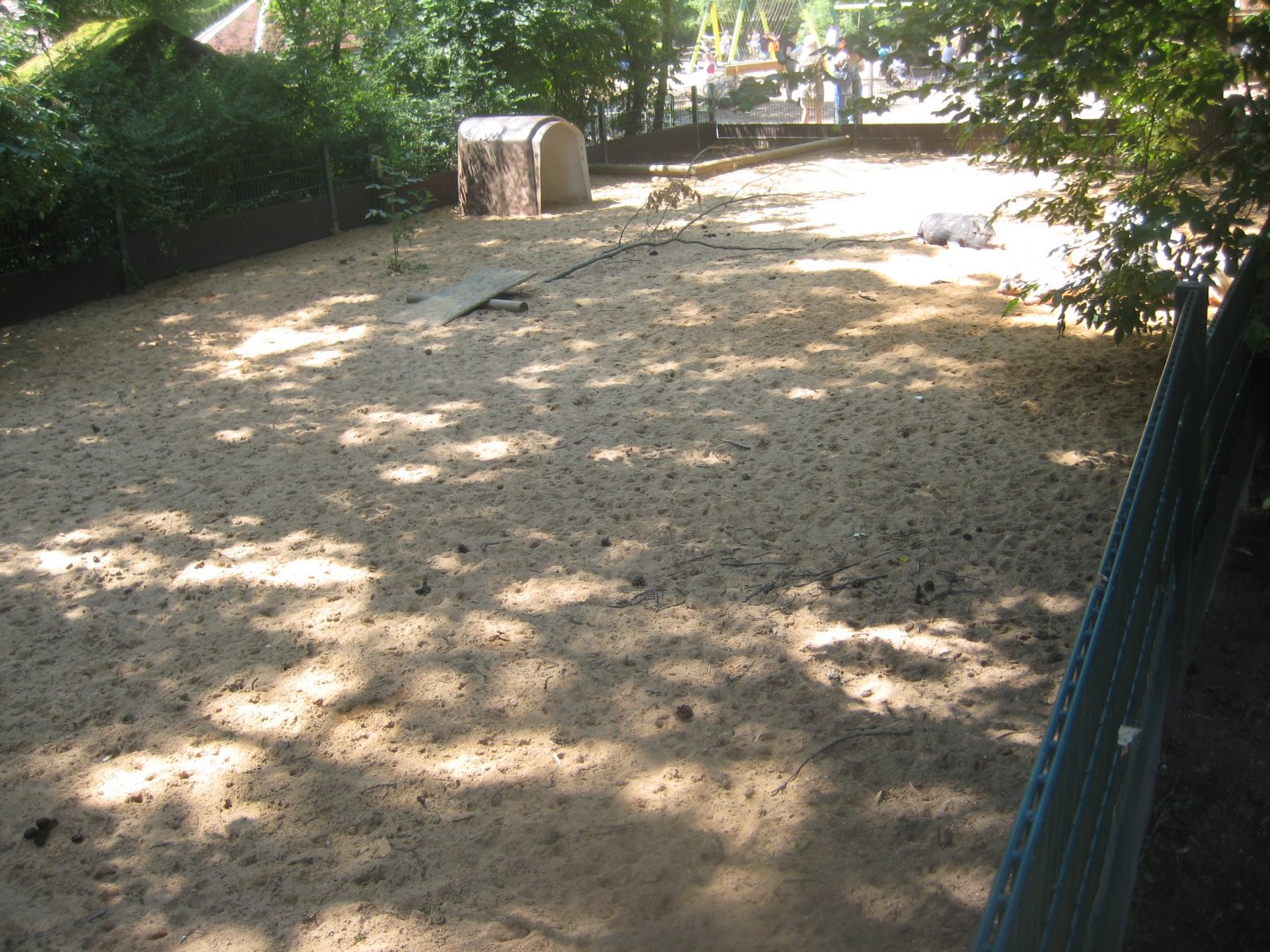 Nürnberg Tiergarten - Children's zoo - Pig exhibit (outdoors)