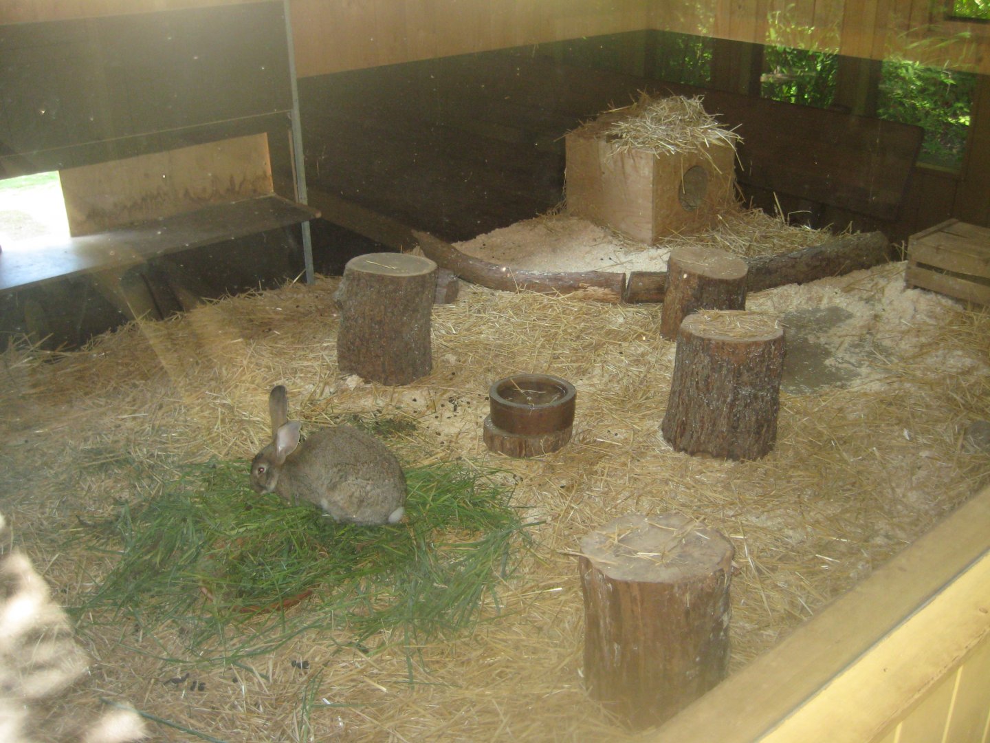 Nürnberg Tiergarten - Children's zoo - Rabbit exhibit #2 (indoors)