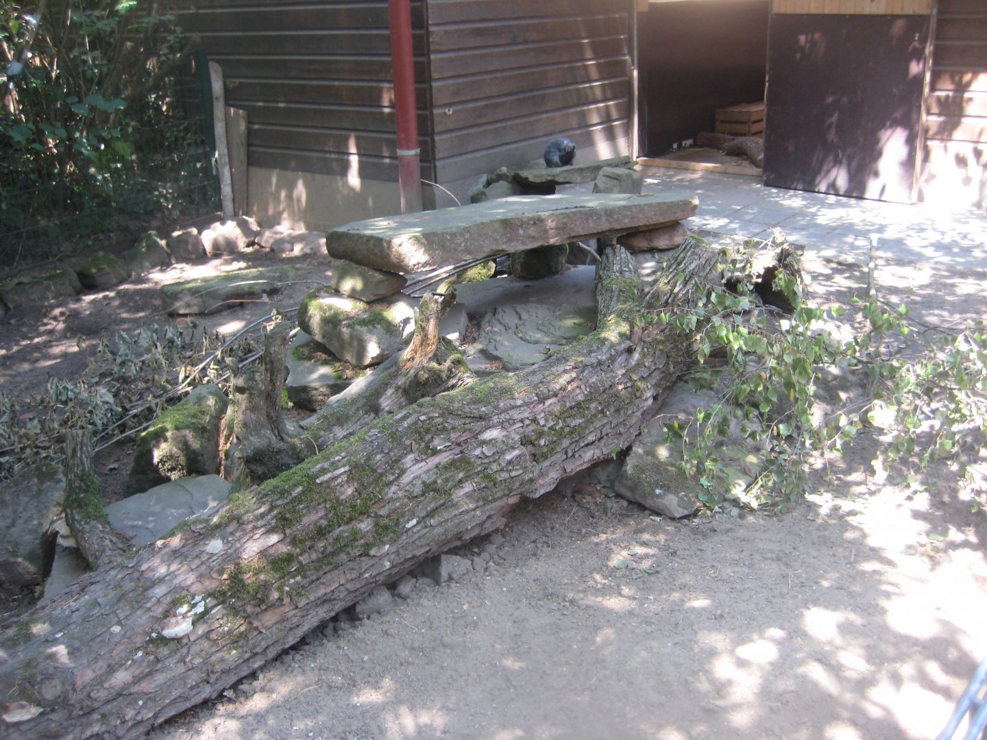 Nürnberg Tiergarten - Children's zoo - Rabbit exhibit (outdoors)