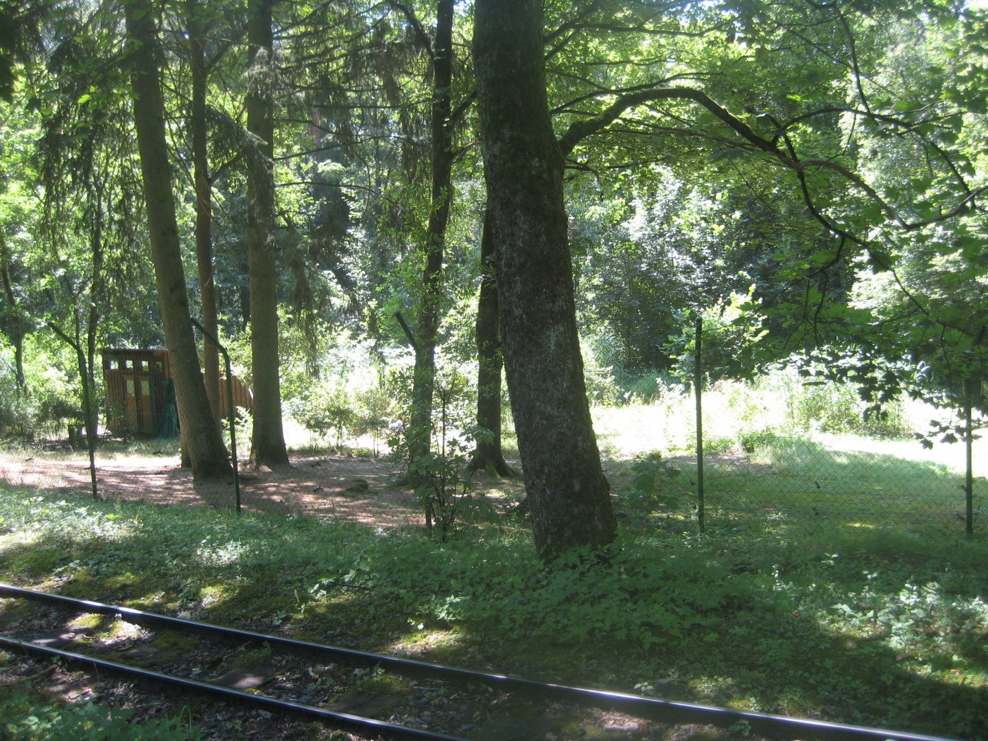 Nürnberg Tiergarten - Crowned-crane exhibit