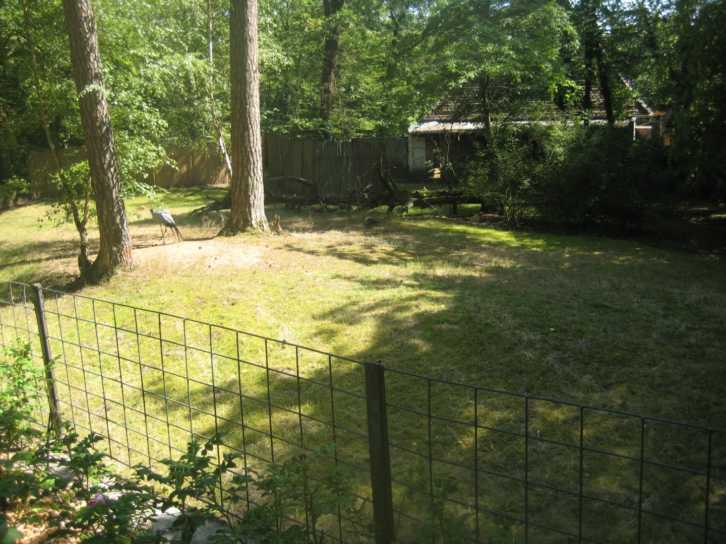 Nürnberg Tiergarten - Duiker/crane exhibit
