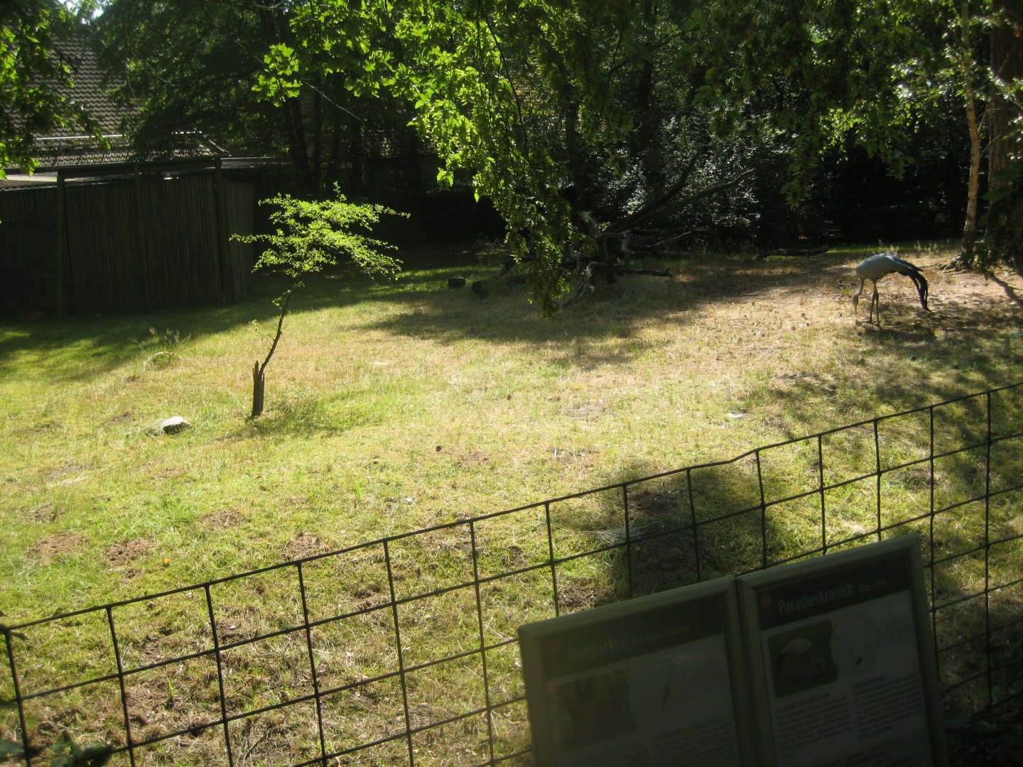 Nürnberg Tiergarten - Duiker/crane exhibit