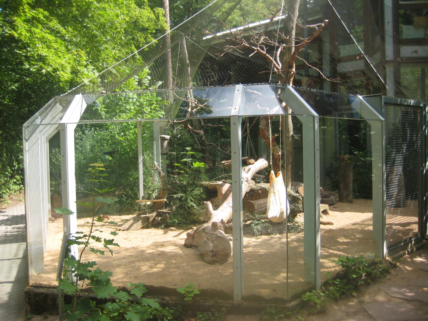 Nürnberg Tiergarten - Dwarf mongoose exhibit