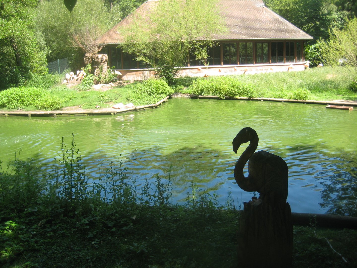 Nürnberg Tiergarten - Flamingo exhibit