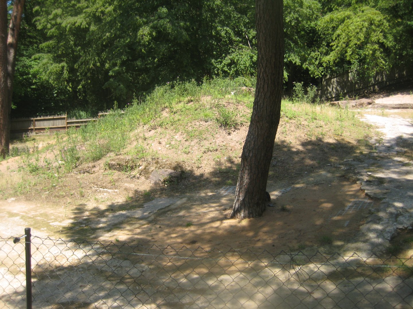 Nürnberg Tiergarten - Gazelle exhibit
