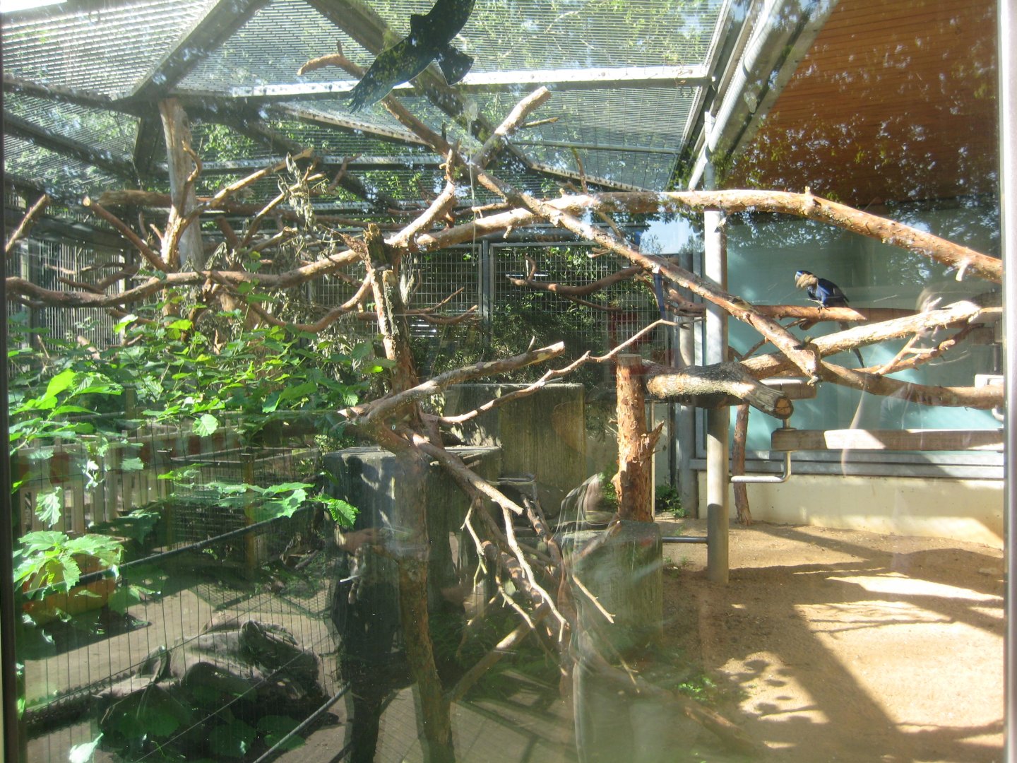 Nürnberg Tiergarten - Macaw aviary