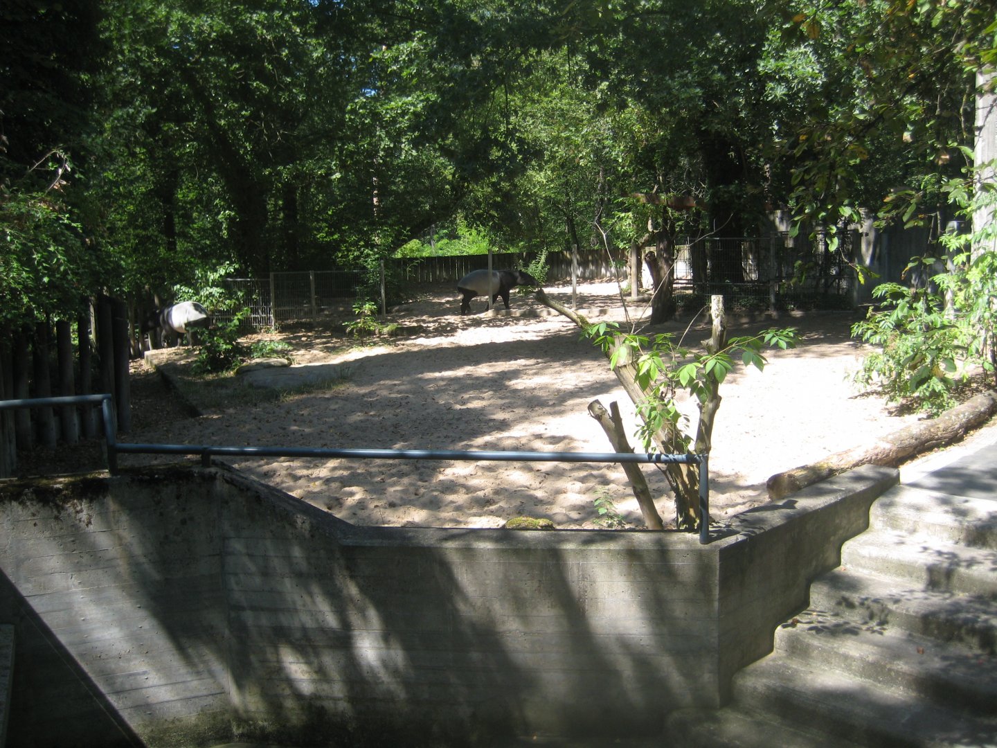 Nürnberg Tiergarten - Malayan tapir exhibit