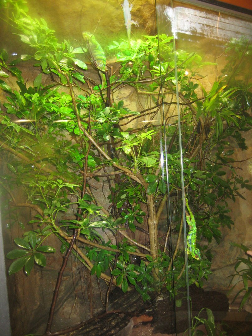 Nürnberg Tiergarten - Naturkundehaus - Madagascar exhibit