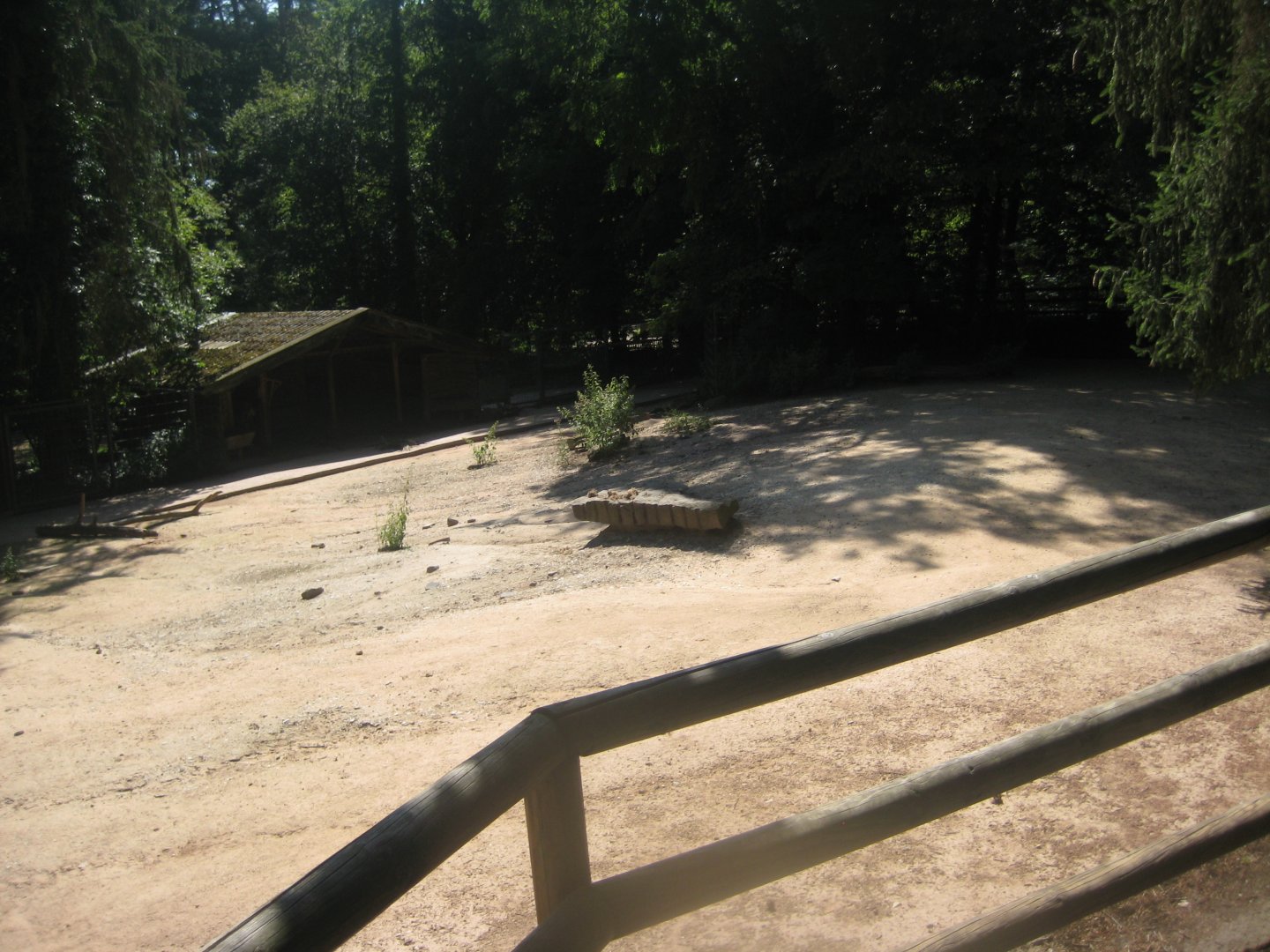 Nürnberg Tiergarten - Reindeer exhibit