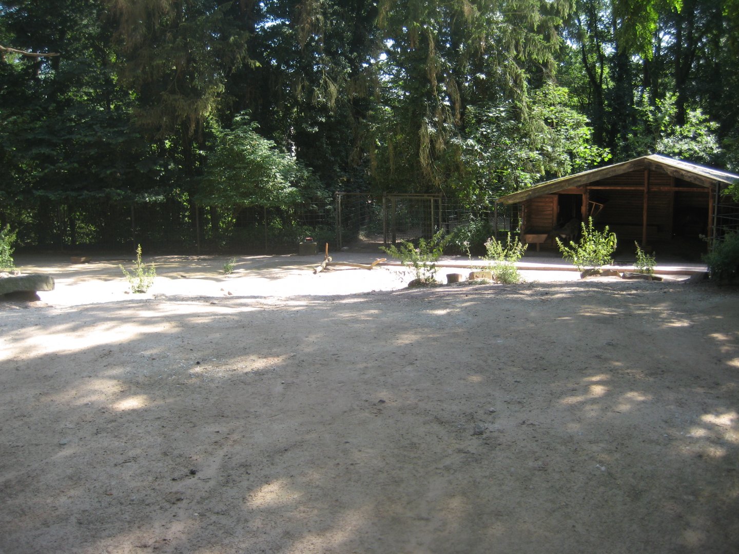 Nürnberg Tiergarten - Reindeer exhibit