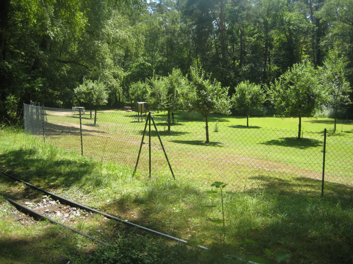 Nürnberg Tiergarten - Sheep exhibit