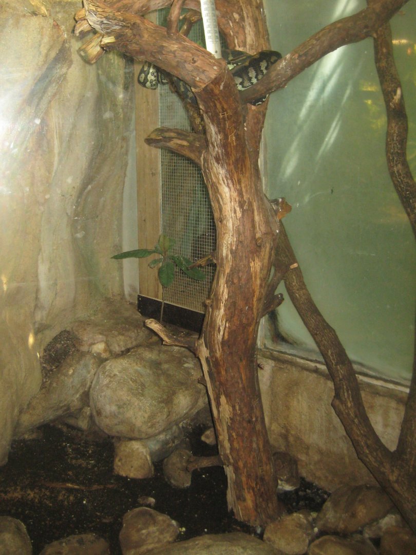 Nürnberg Tiergarten - Tapir house - Python exhibit