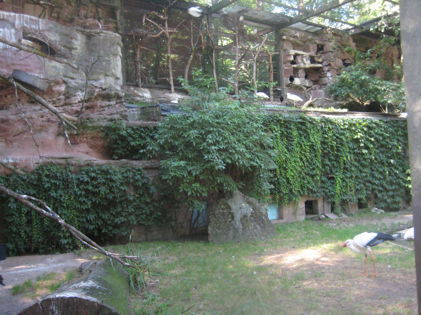 Nürnberg Tiergarten - Walkthrough aviary