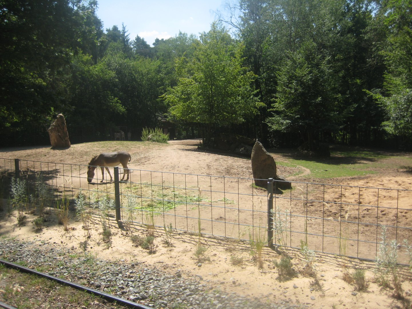 Nürnberg Tiergarten - Wild ass exhibit