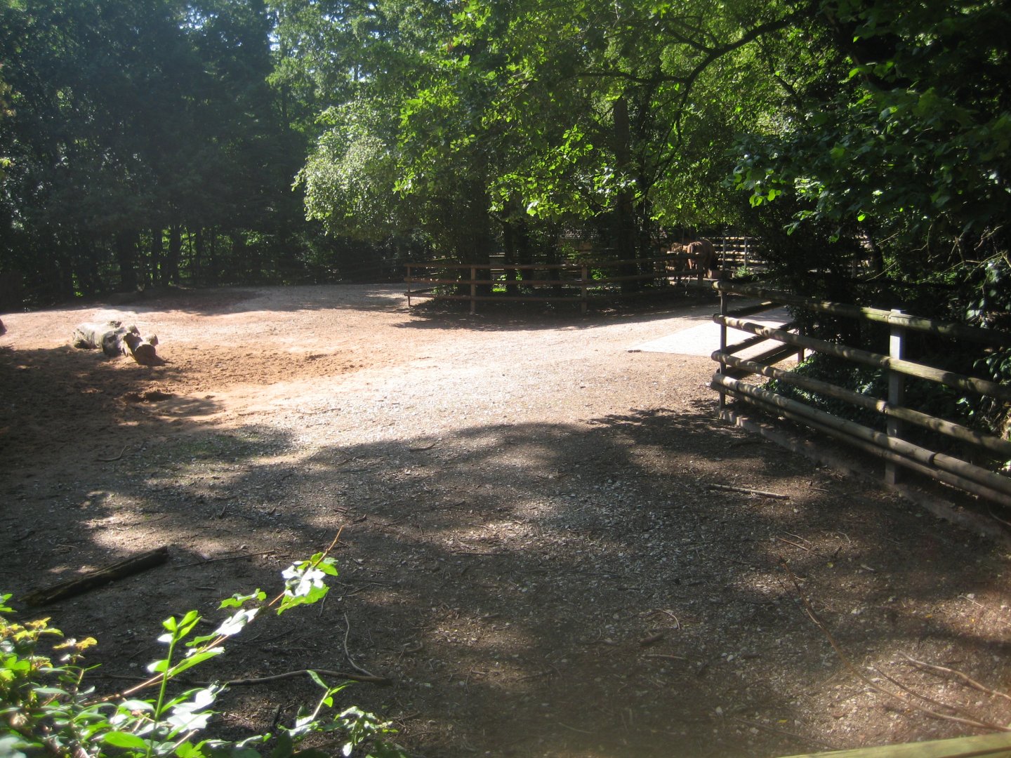 Nürnberg Tiergarten - Wisent exhibit