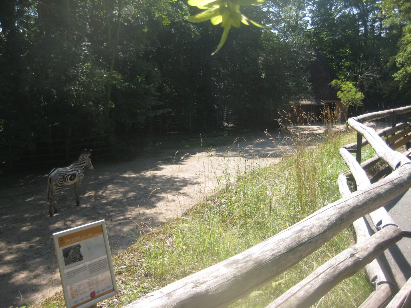 Nürnberg Tiergarten - Zebra exhibit