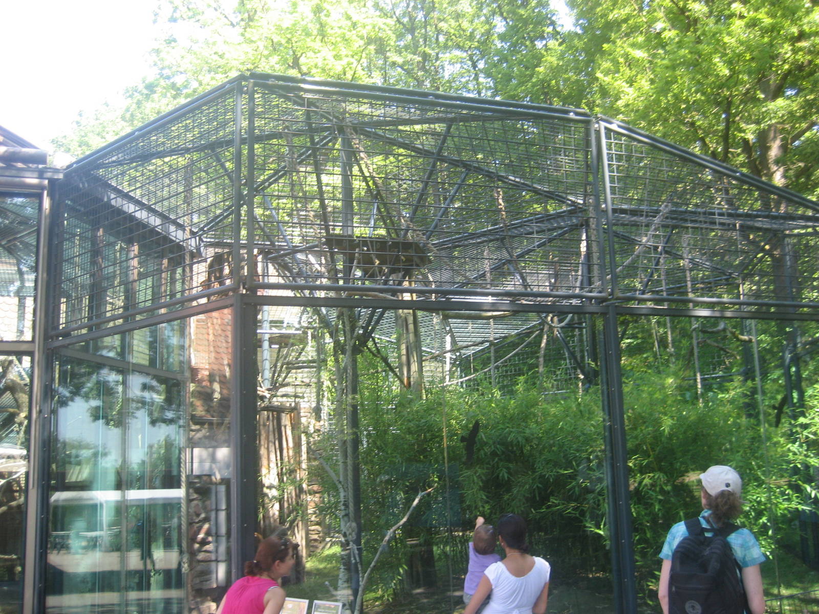 Nürnberg Zoo - Gibbon exhibit