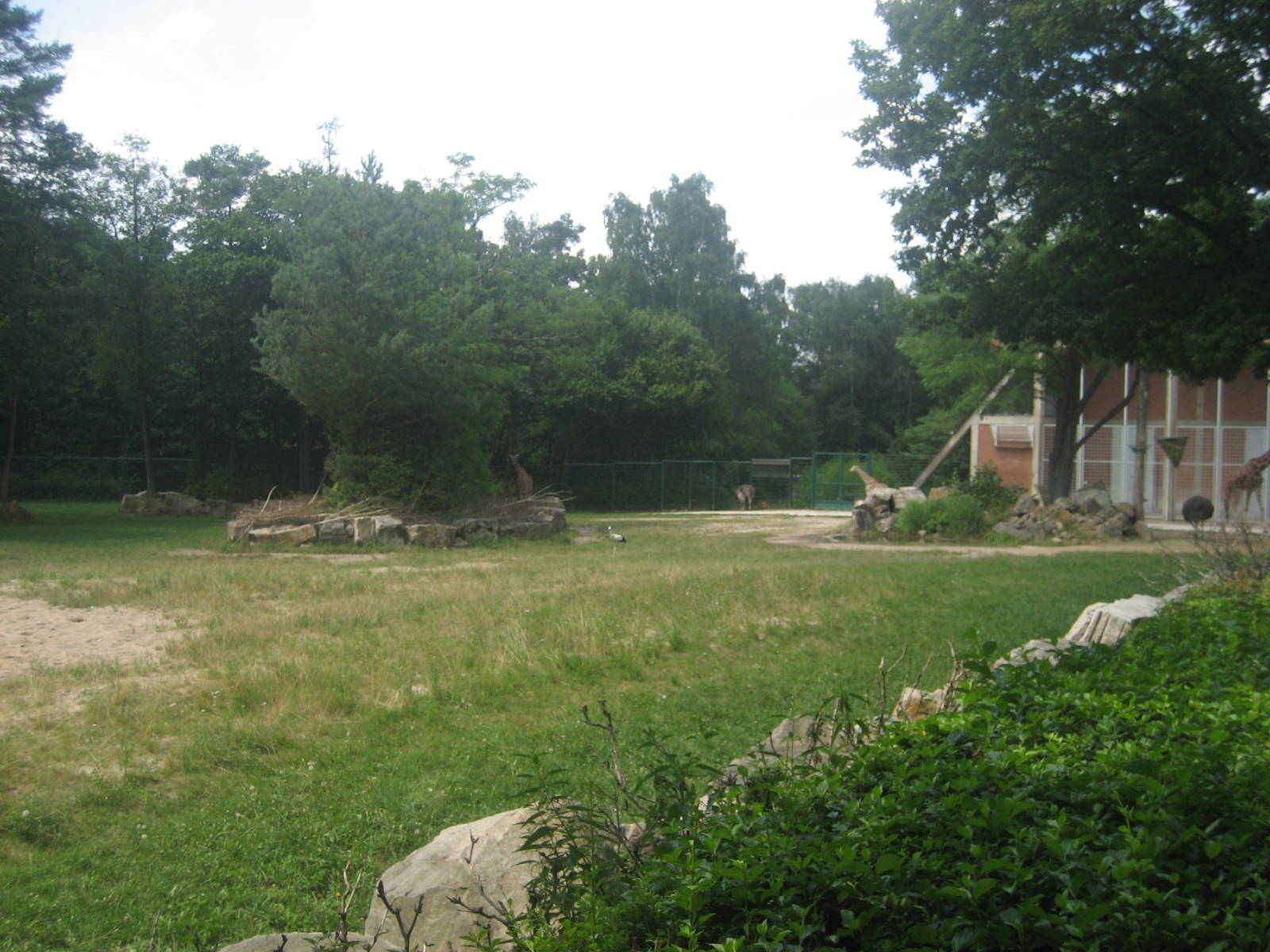 Nürnberg Zoo - Giraffe exhibit