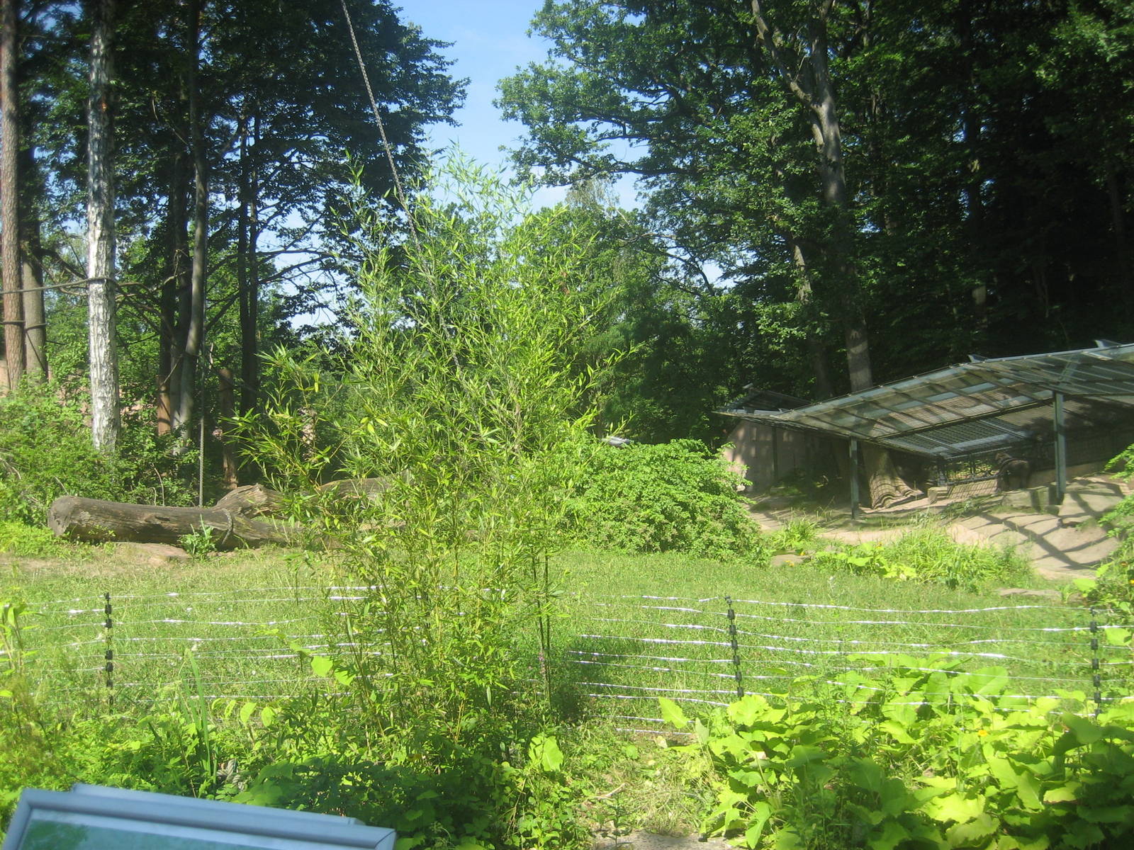 Nürnberg Zoo - Gorilla exhibit