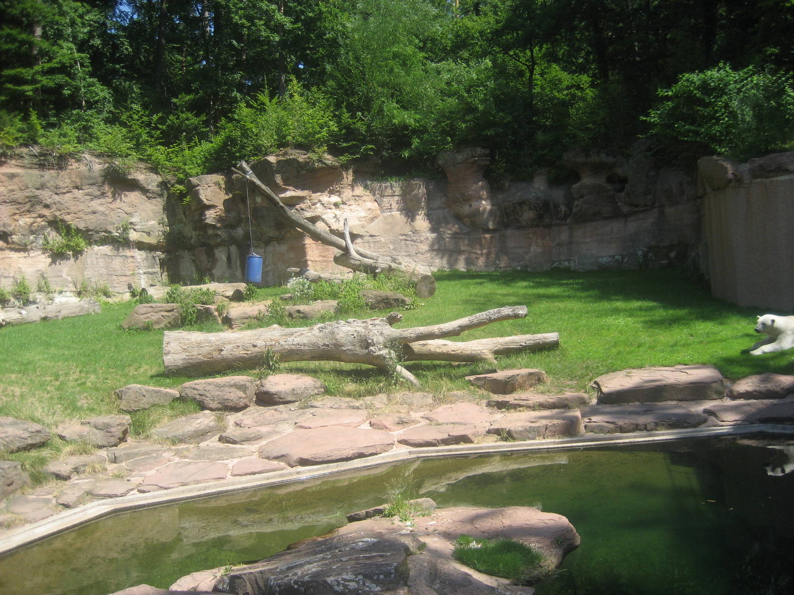Nürnberg Zoo - Polar bear exhibit