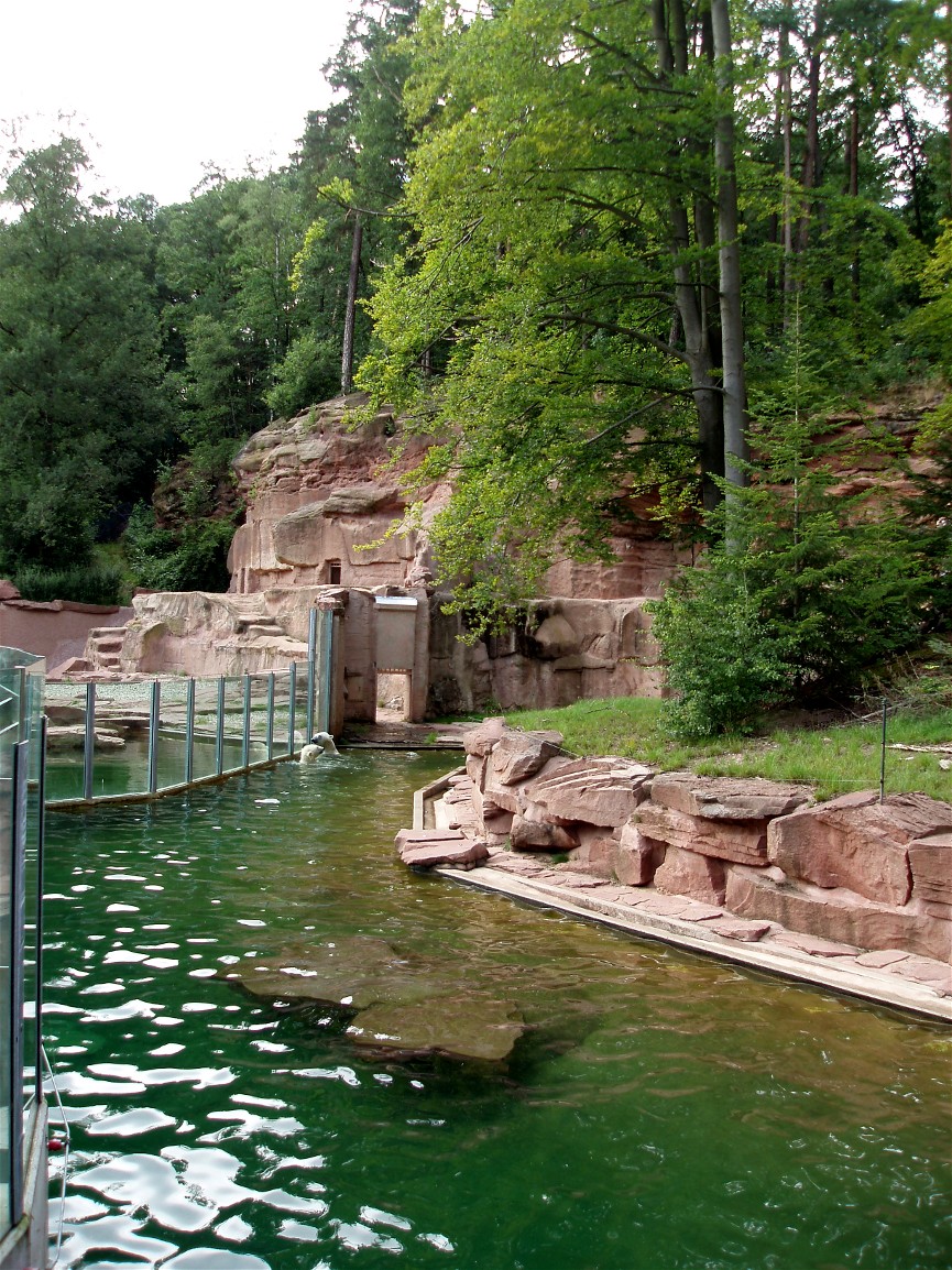 Nürnberg Zoo - Polar bear exhibit