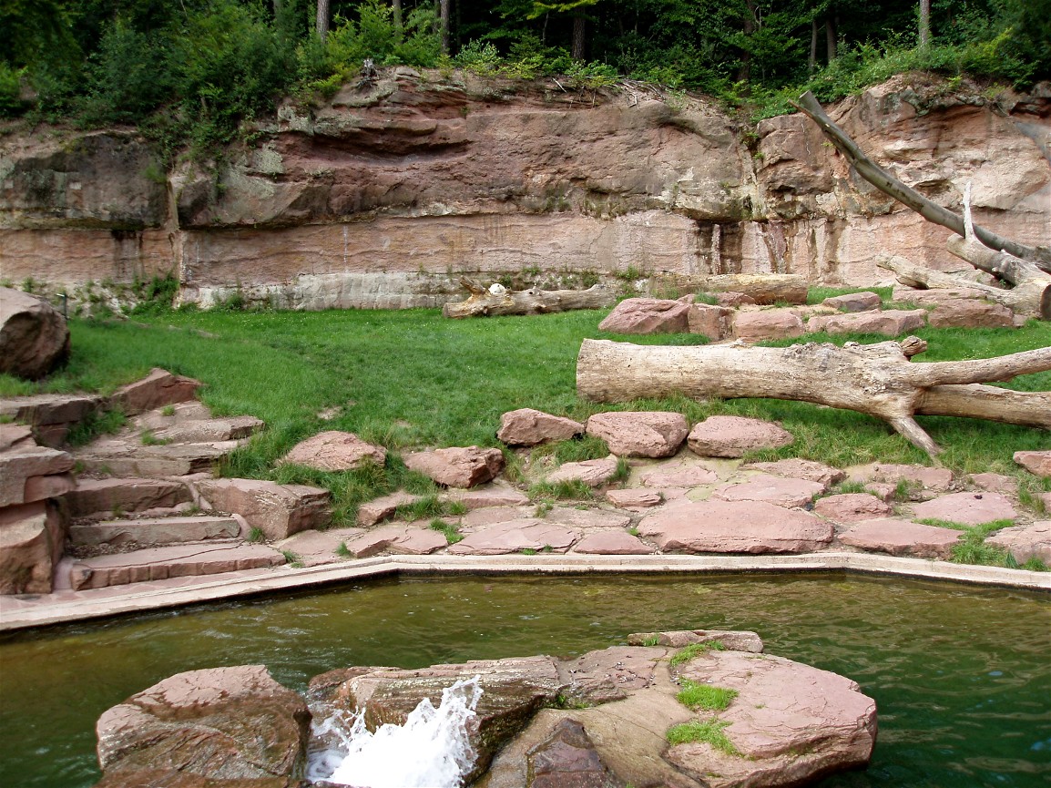 Nürnberg Zoo - Polar bear exhibit