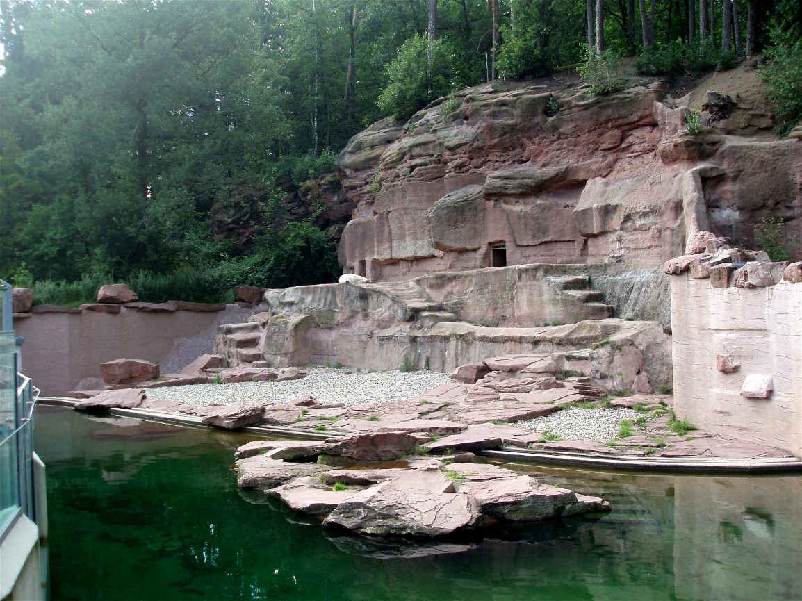 Nürnberg Zoo - Polar bear exhibit