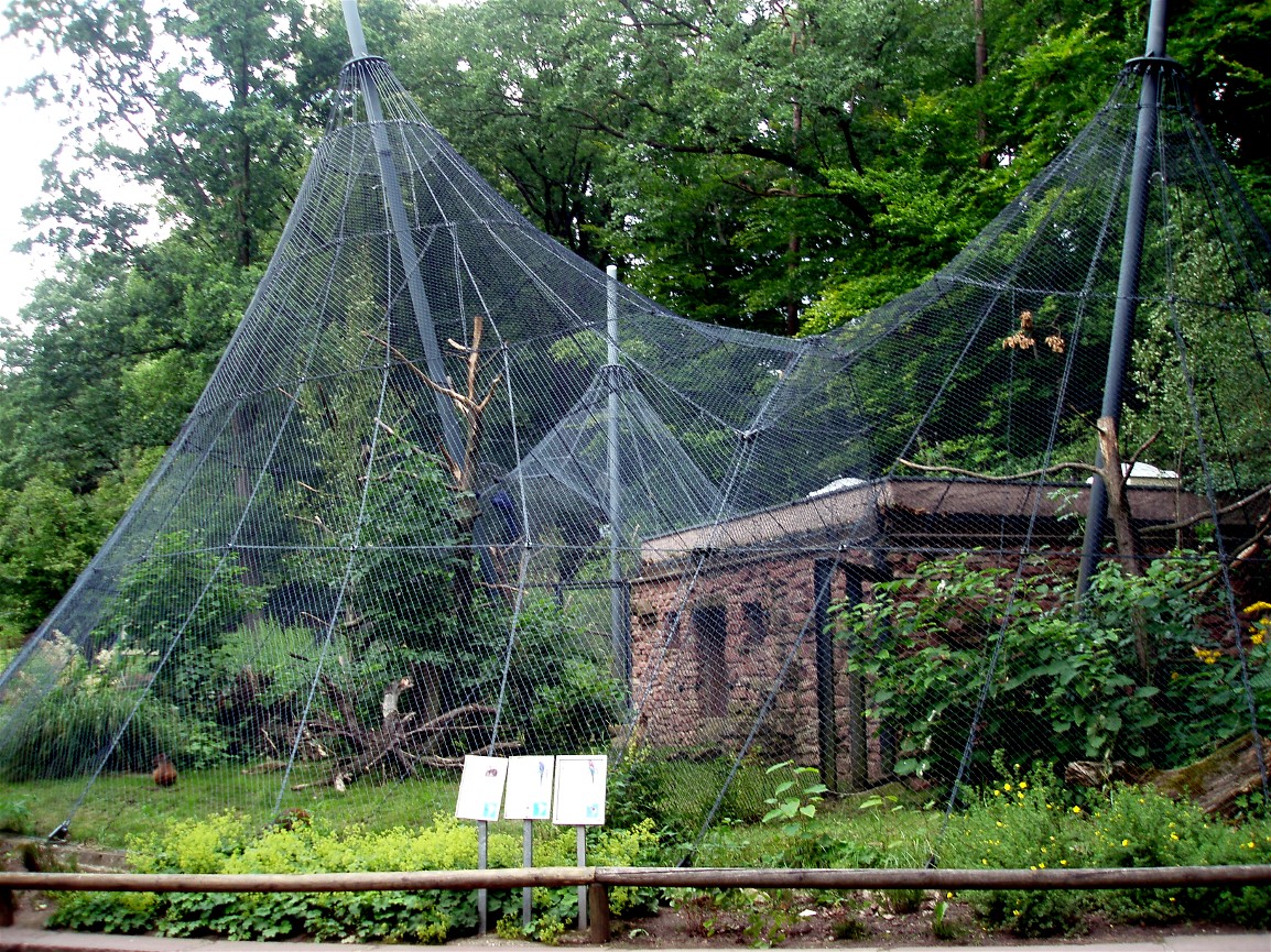 Nürnberg Zoo - South American aviary