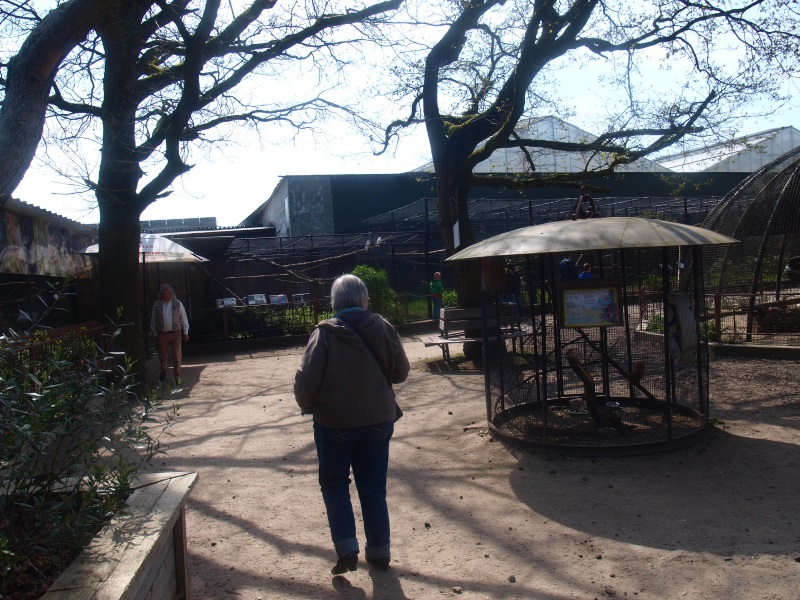 Nursery and bird area (April 19th, 2015)