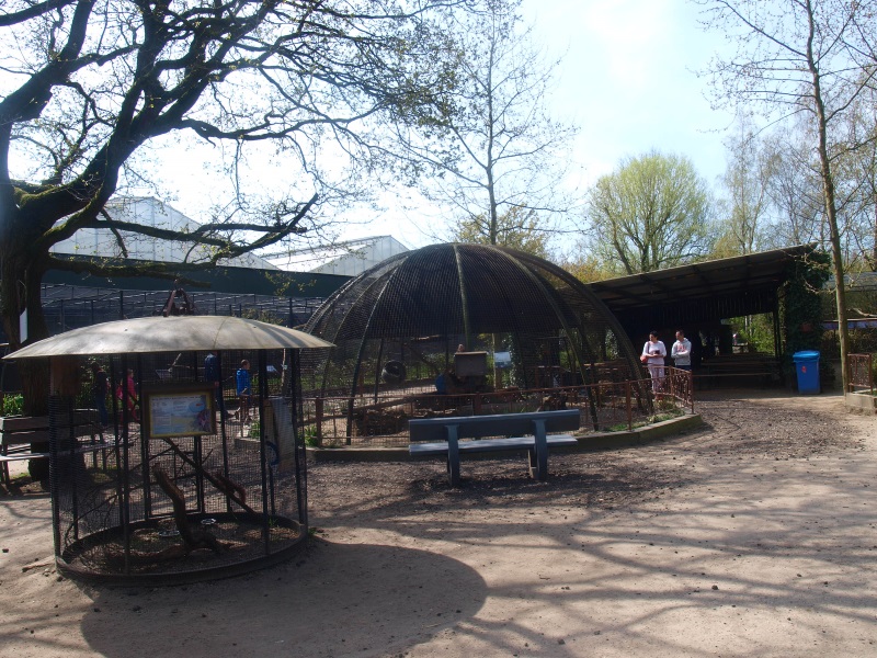 Nursery and bird area (April 19th, 2015)