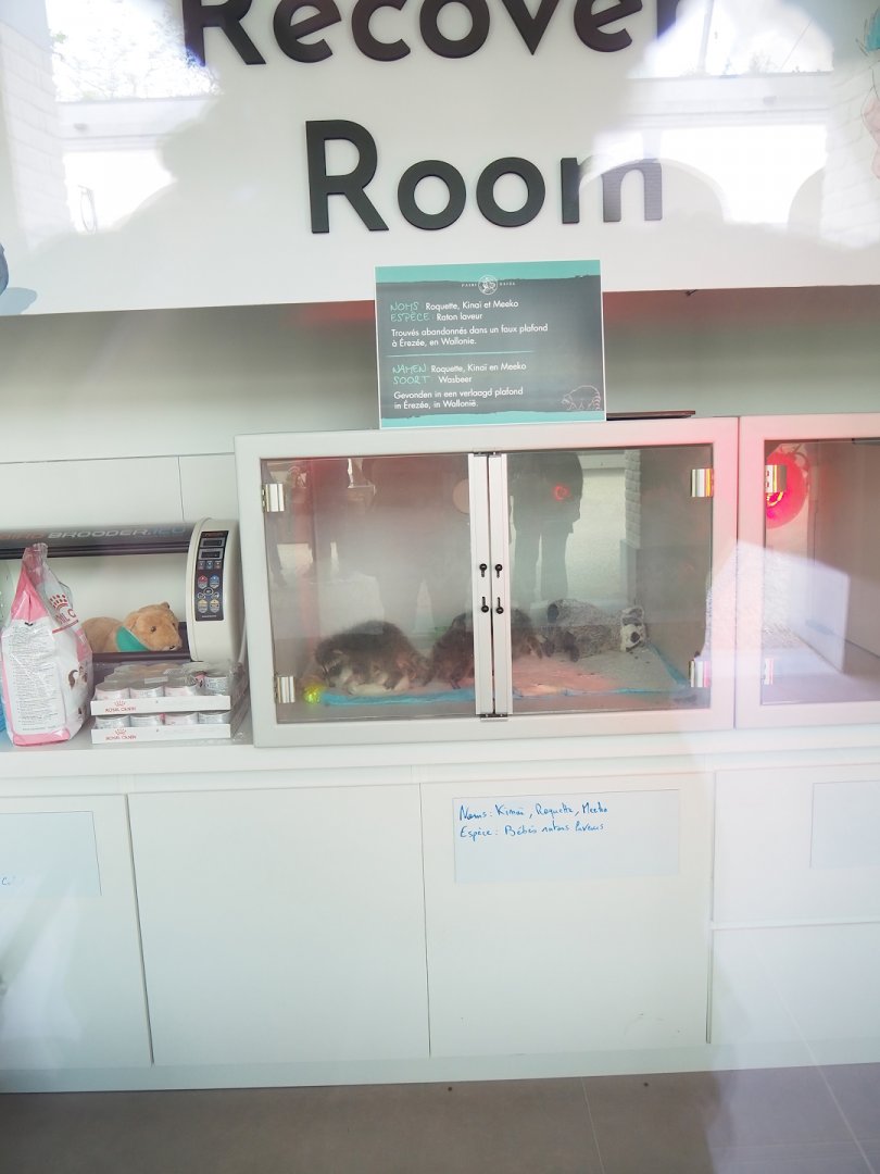 Nursery and recovery incubators, 2023-05-16