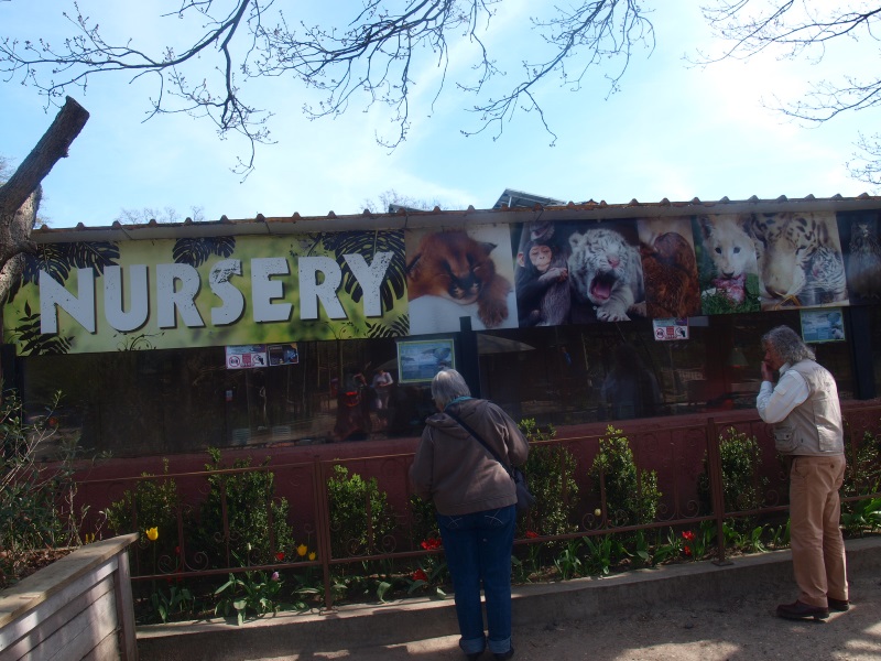 Nursery (April 19th, 2015)