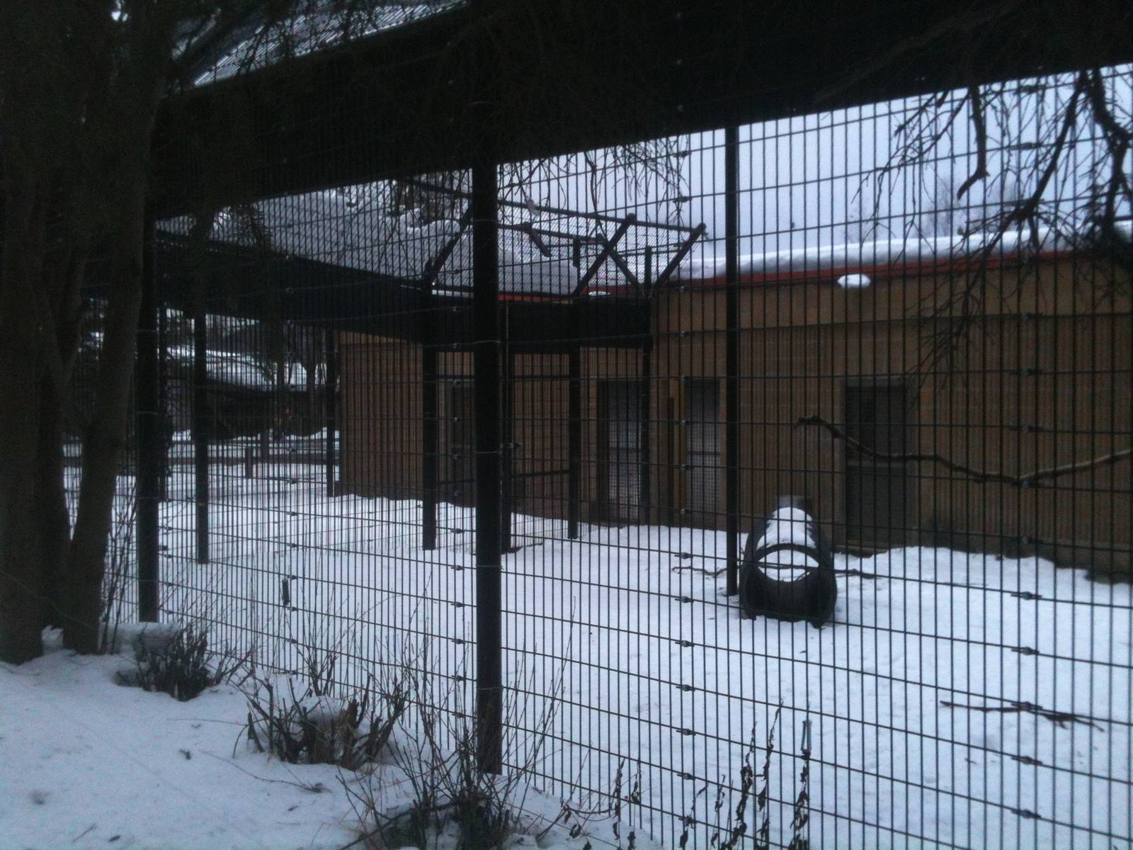 Nursery Facility/Infirmary