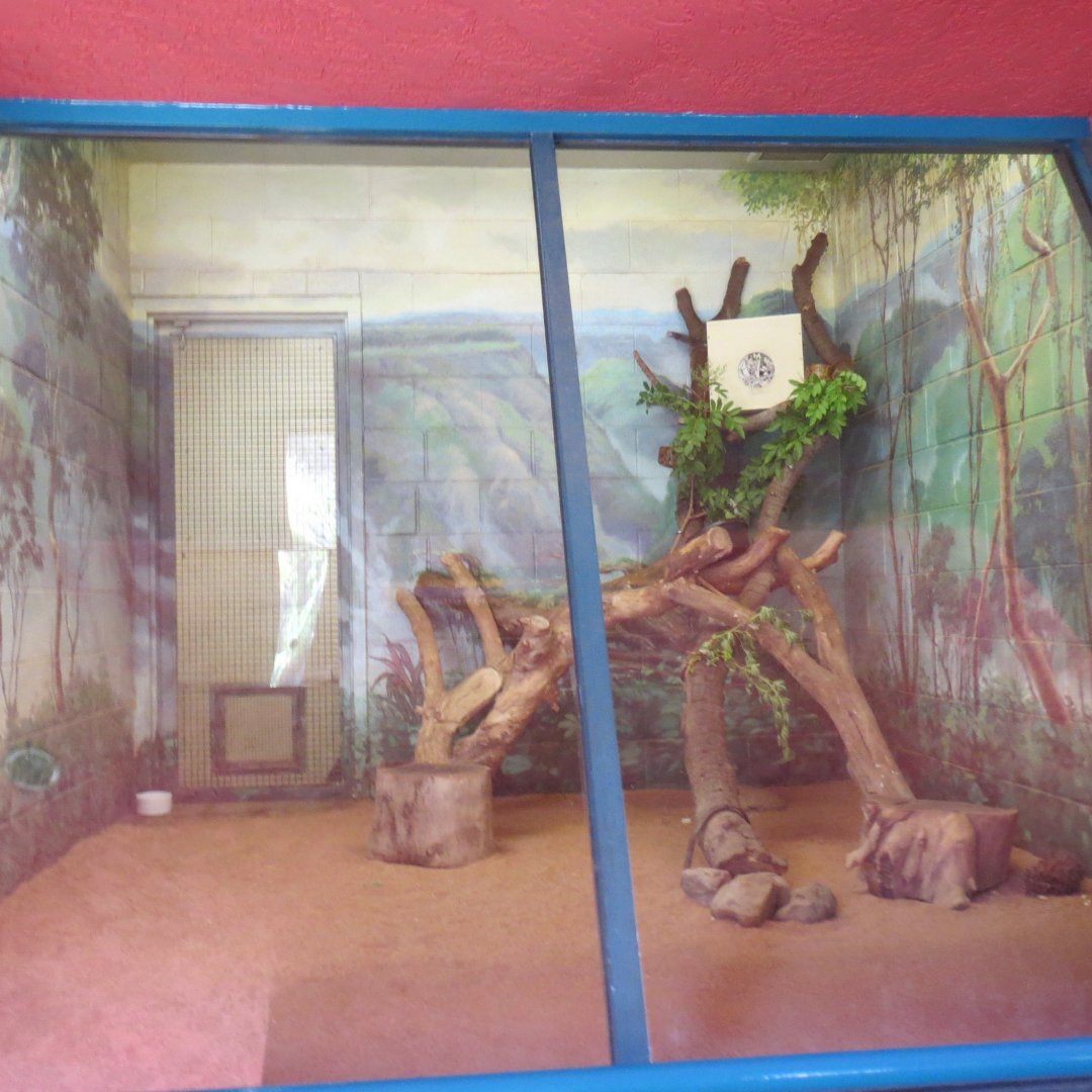 nursery - ground squirrel exhibit