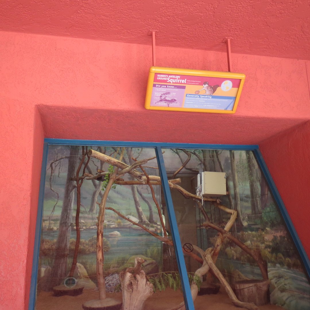 Nursery - Ground Squirrel Exhibit