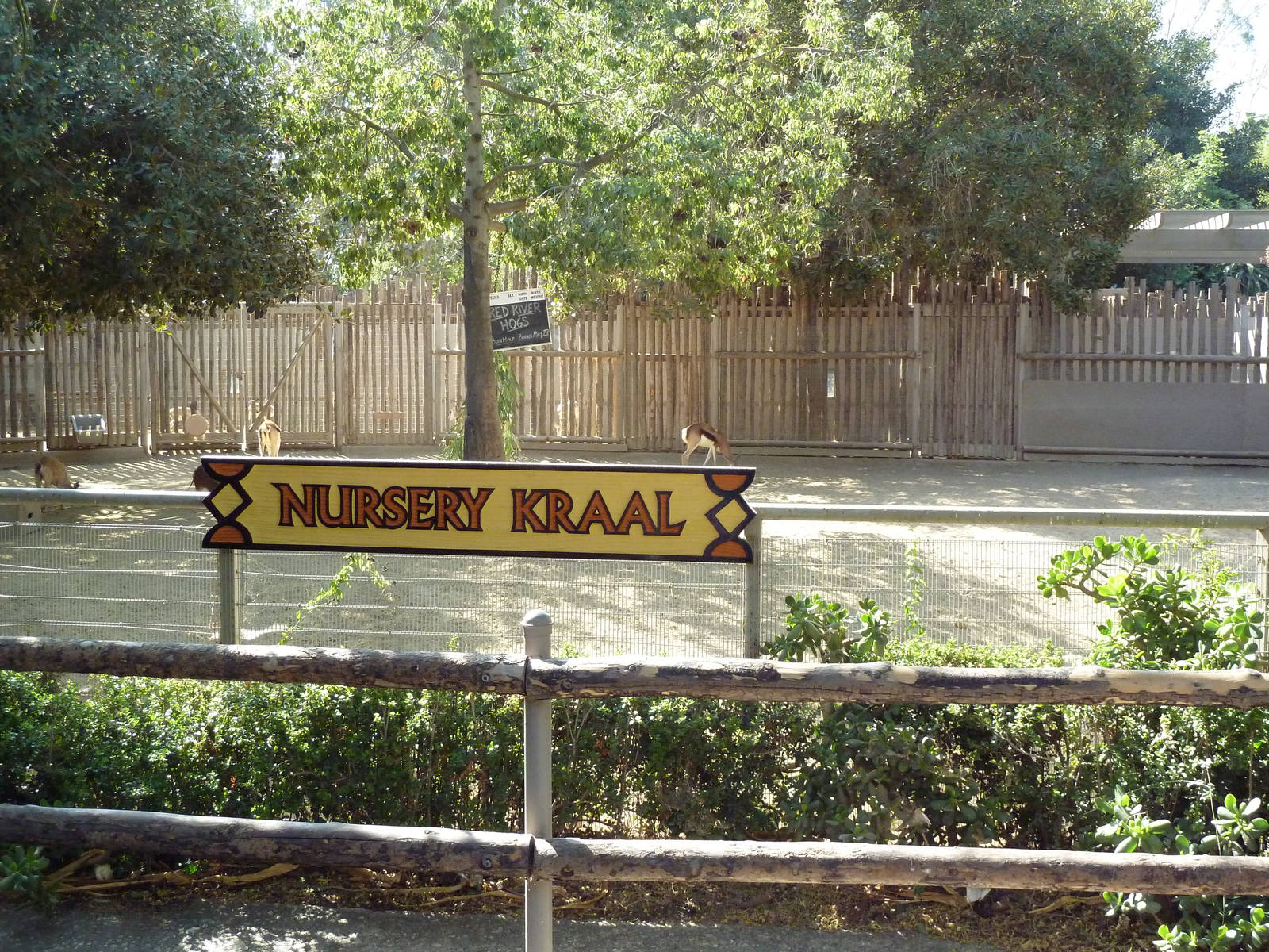 Nursery Kraal (4 Species)