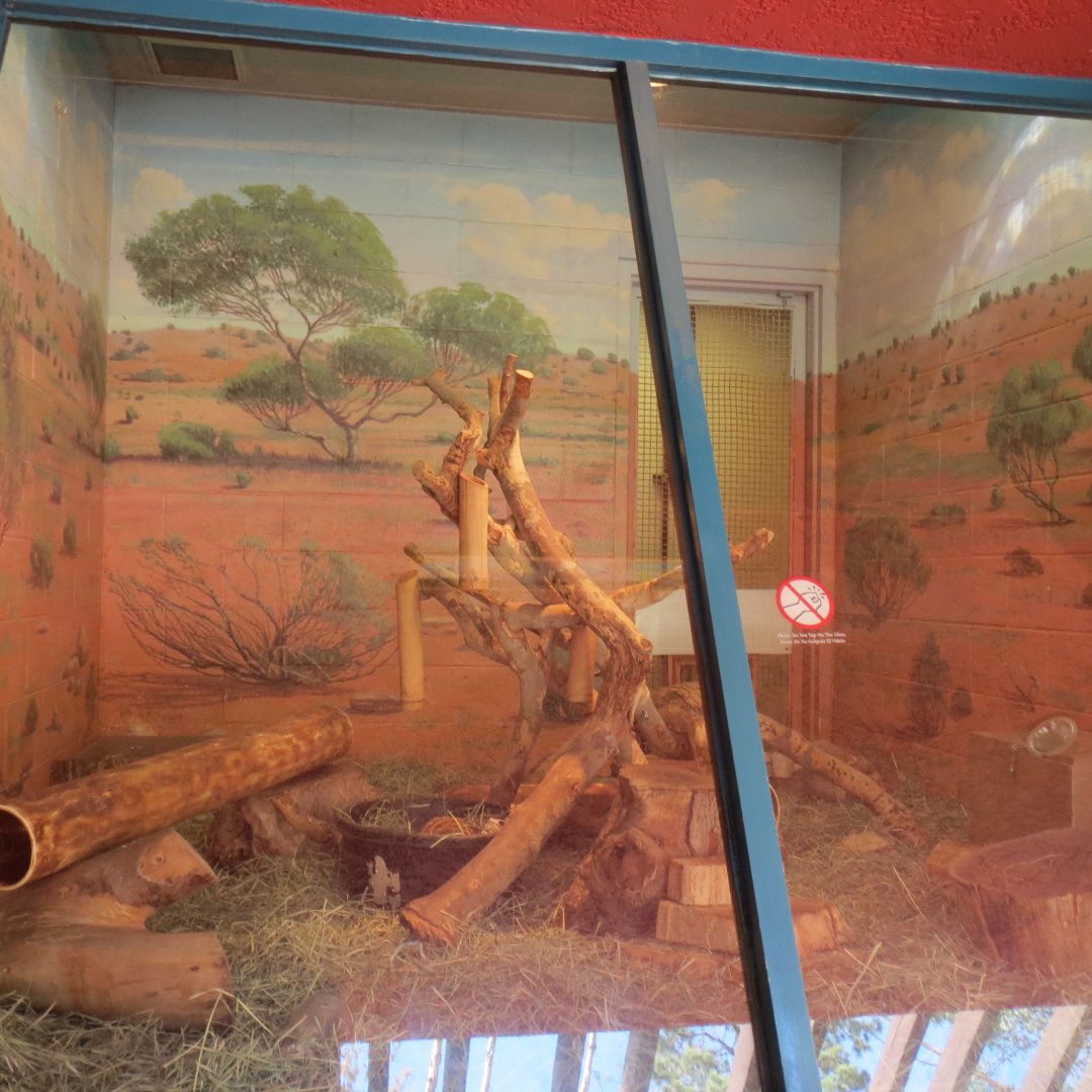 Nursery - Meerkat Exhibit