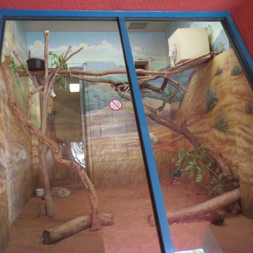 Nursery - Panay Cloud Rat Exhibit